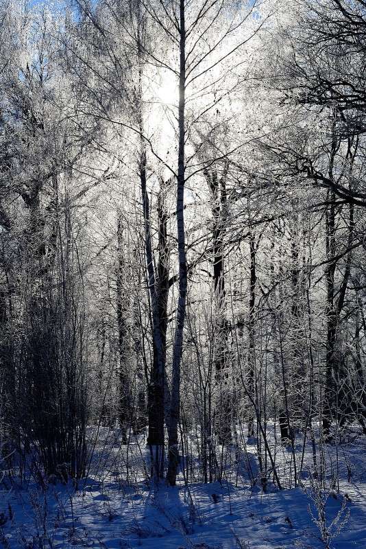 ... ����� S  �� PhotoGeek.ru #������ ��� �������