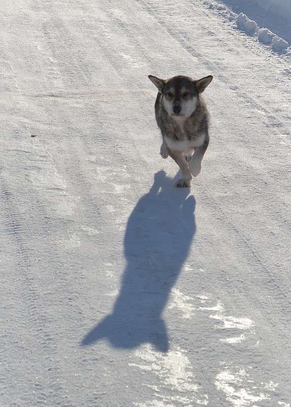 ... ����� S  �� PhotoGeek.ru #�������� ���