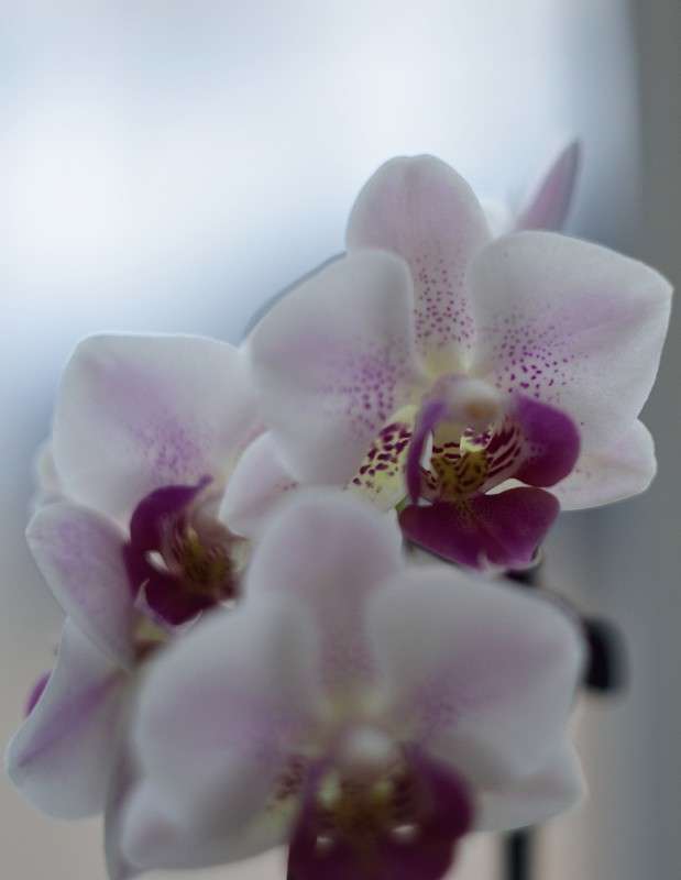 ... ����� S  �� PhotoGeek.ru #���������