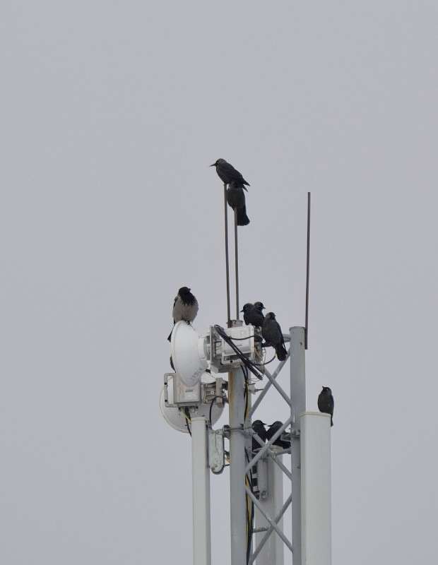 ��������� ������� ����� (������) :) ����� S  �� PhotoGeek.ru #��������