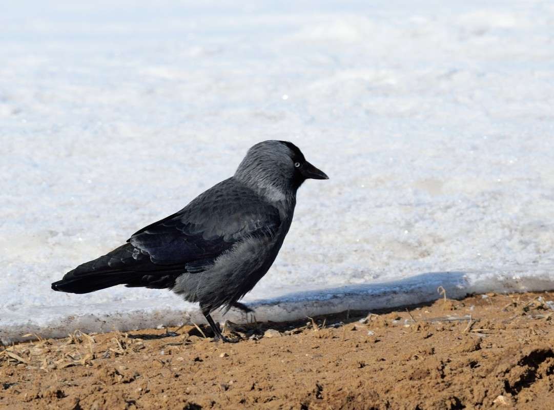 ... ����� S  �� PhotoGeek.ru #�������� ���