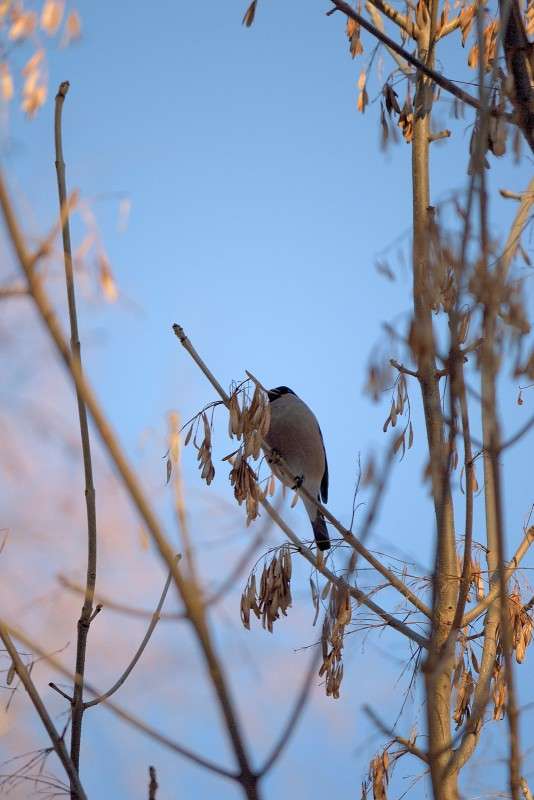 ... ����� S  �� PhotoGeek.ru #�������� ��� #����� ��� ��� ���������