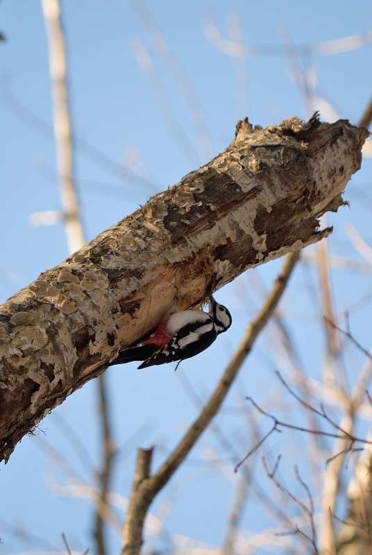 ... ����� S  �� PhotoGeek.ru #�������� ��� #����� ��� ��� ���������