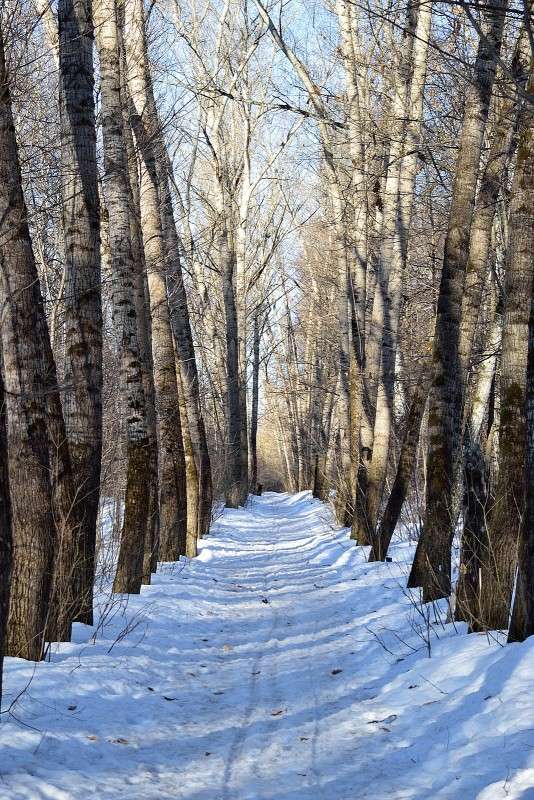 ... ����� S  �� PhotoGeek.ru #������ ��� �������