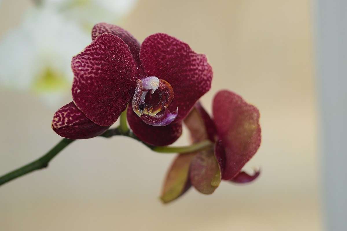 � ����... ����� S  �� PhotoGeek.ru #���������