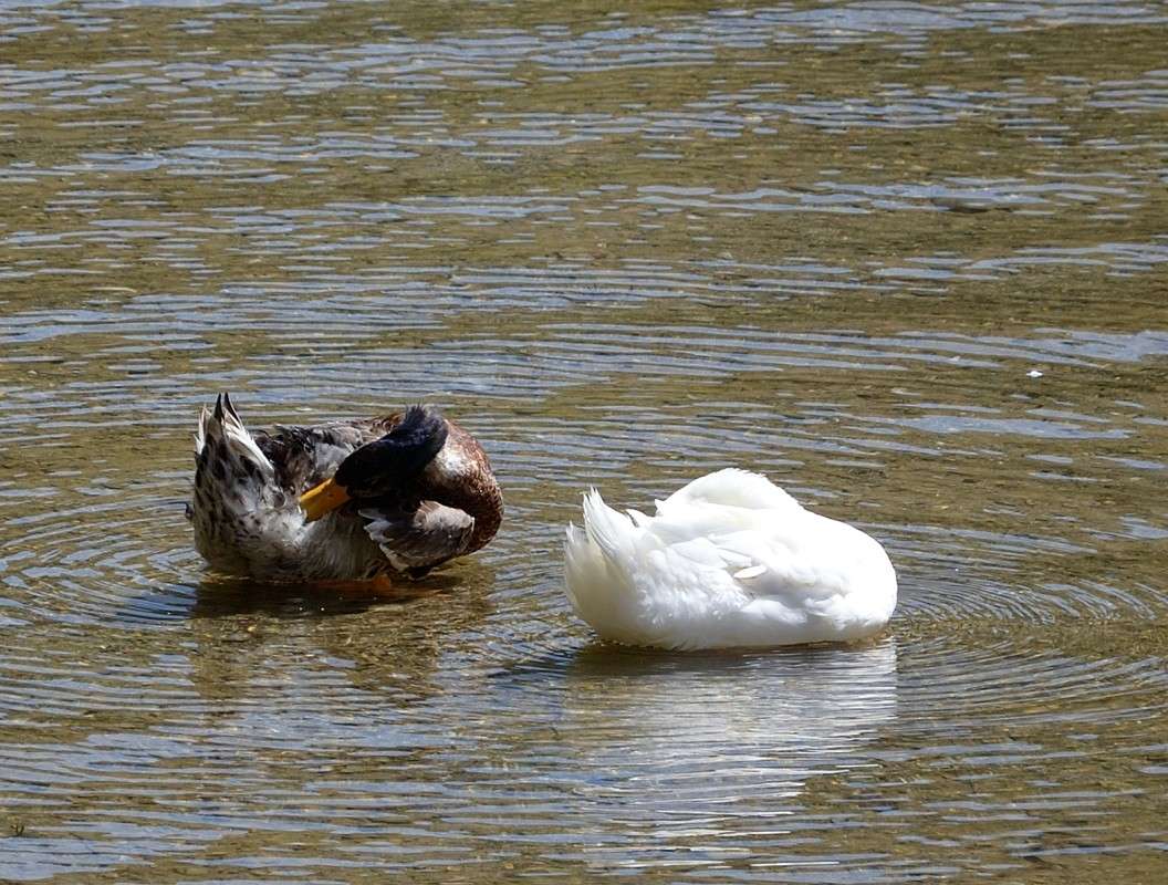 ������... ����� S  �� PhotoGeek.ru #�������� ��� #��������