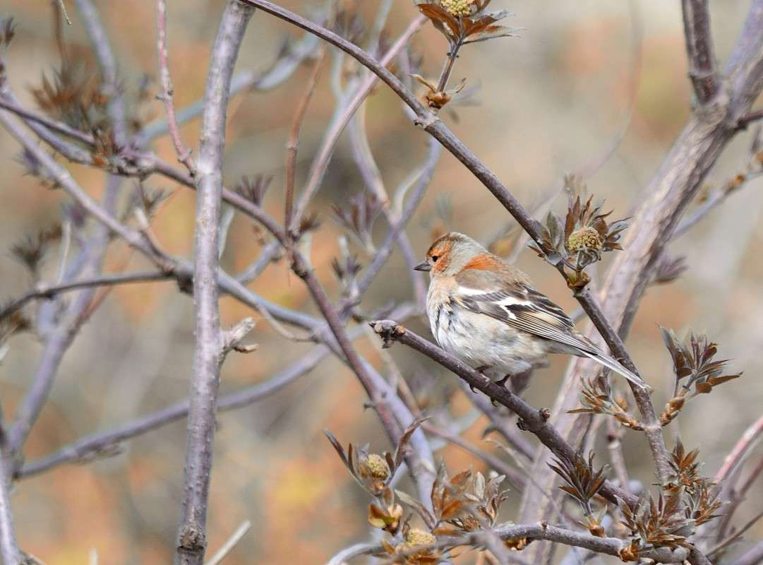 )) ����� S  �� PhotoGeek.ru #�������� ��� #����� ��� ��� ���������