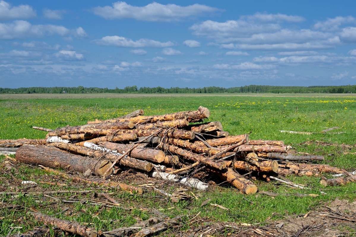 ... ����� S  �� PhotoGeek.ru #������ ��� �������