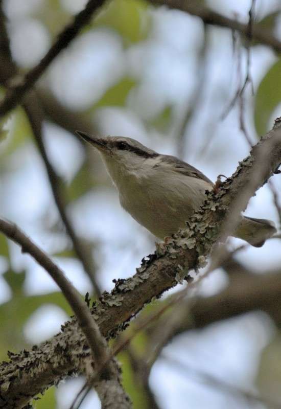 ... ����� S  �� PhotoGeek.ru #�������� ��� #����� ��� ��� ���������