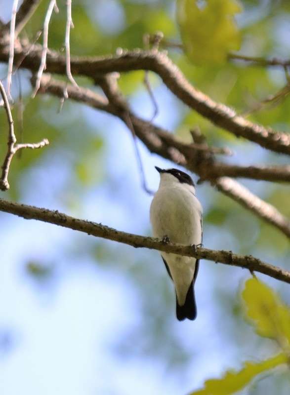 ... ����� S  �� PhotoGeek.ru #�������� ��� #����� ��� ��� ���������