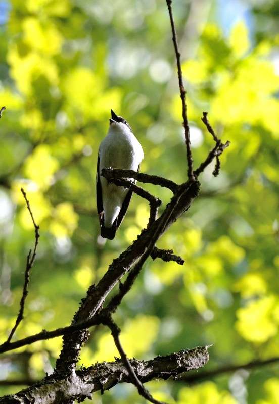 ... ����� S  �� PhotoGeek.ru #�������� ��� #����� ��� ��� ���������