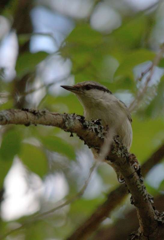 ... ����� S  �� PhotoGeek.ru #�������� ��� #����� ��� ��� ���������