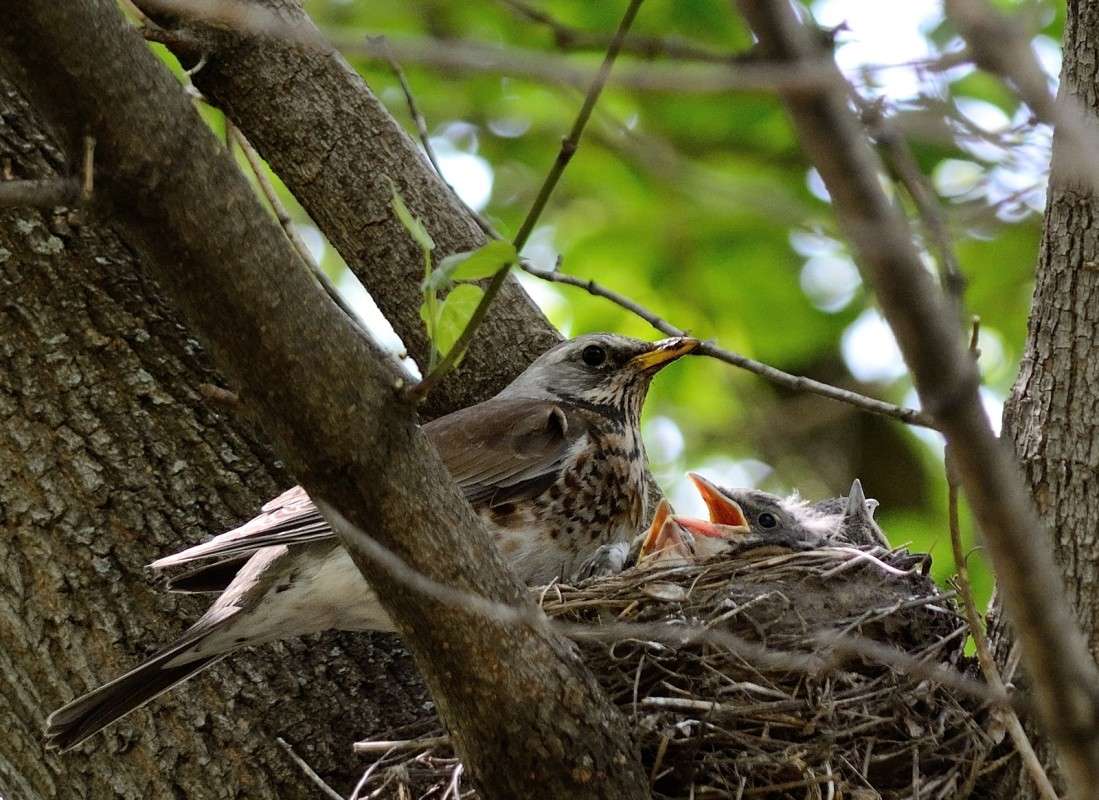 ... ����� S  �� PhotoGeek.ru #�������� ���