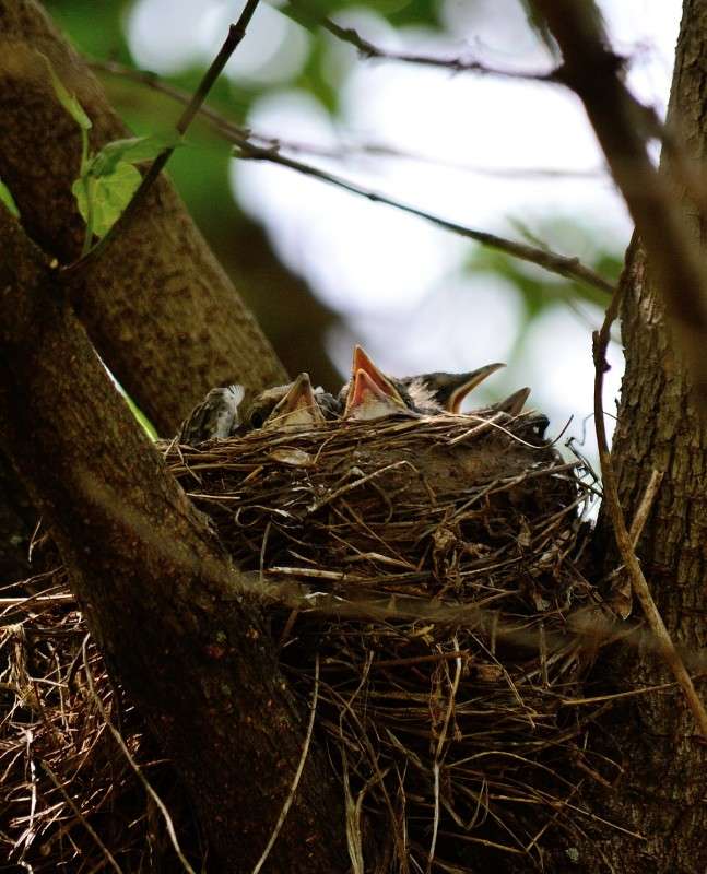 ... ����� S  �� PhotoGeek.ru #�������� ���