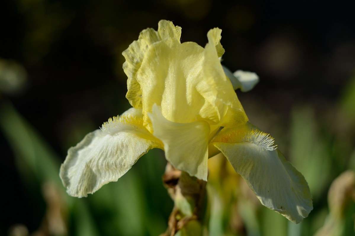 1 ����� S  �� PhotoGeek.ru #������ ��� �������