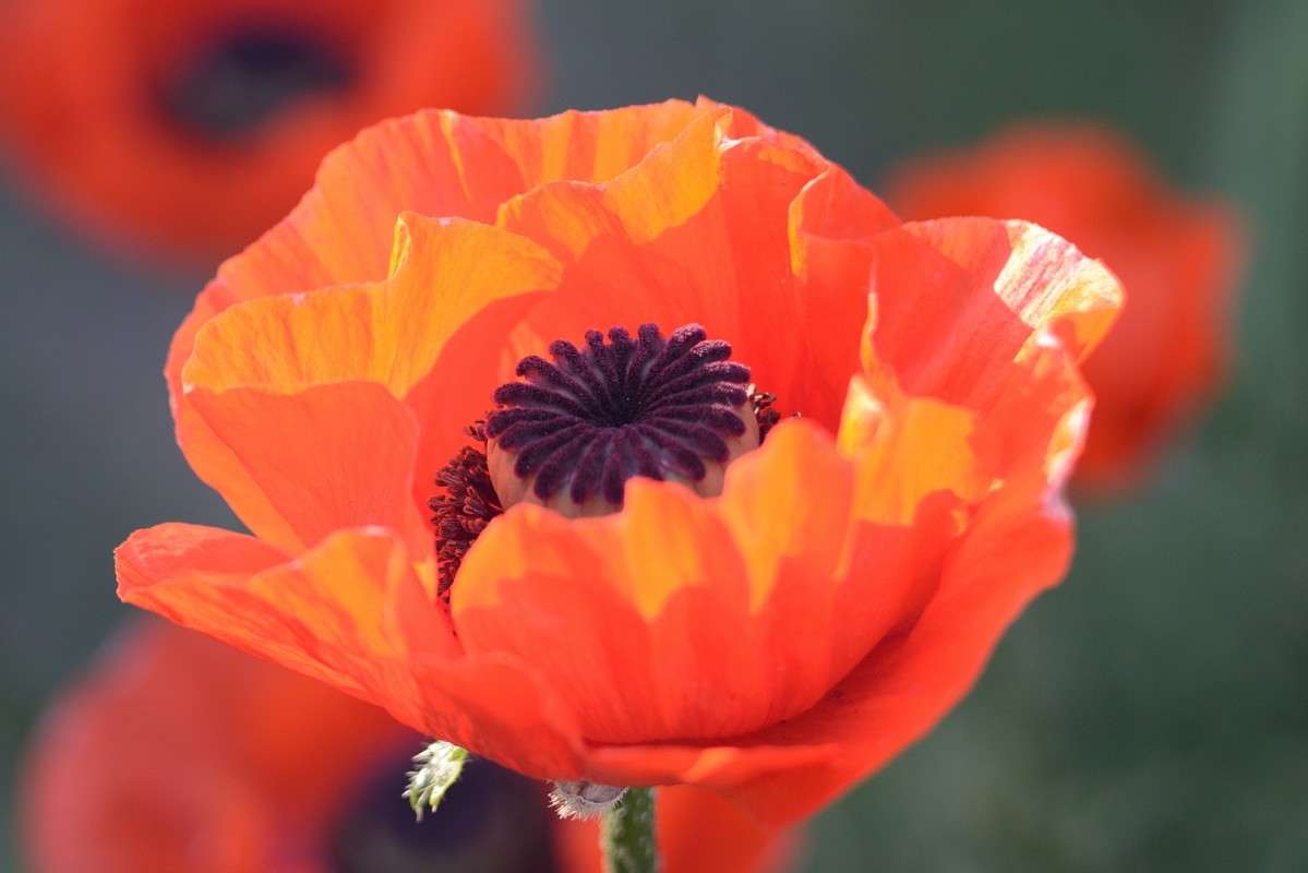 4 ����� S  �� PhotoGeek.ru #������ ��� ������� #����� ��������������