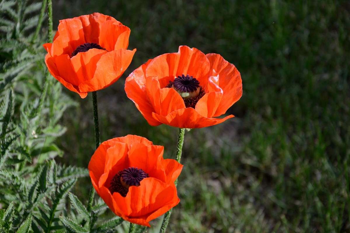 5 ����� S  �� PhotoGeek.ru #������ ��� ������� #����� ��������������