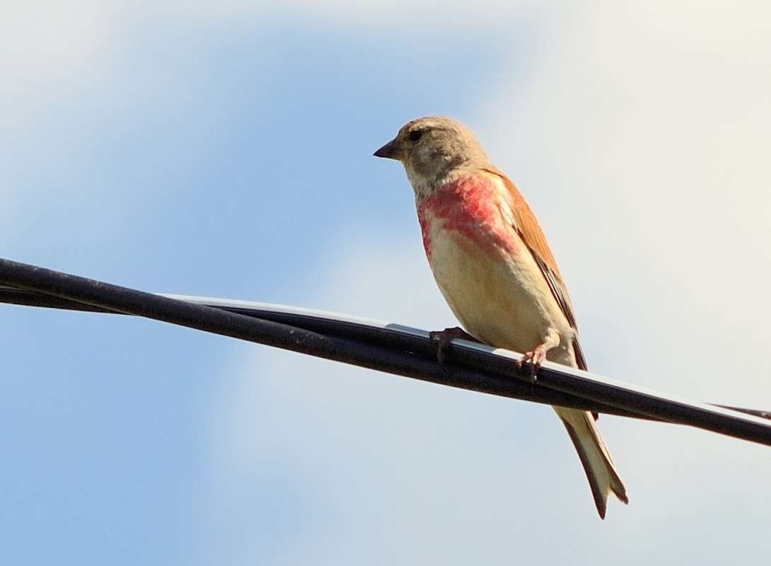 ... ����� S  �� PhotoGeek.ru #�������� ���