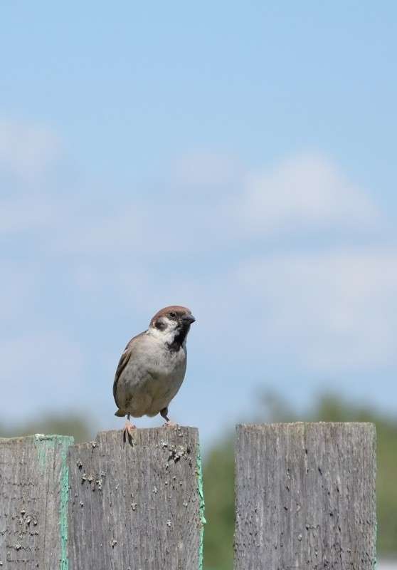 ... ����� S  �� PhotoGeek.ru #�������� ���