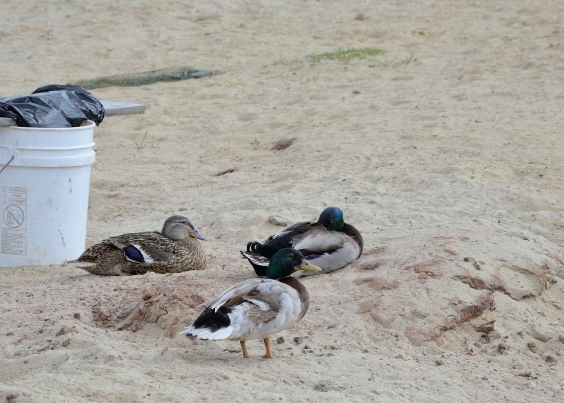 ... ����� S  �� PhotoGeek.ru #�������� ���