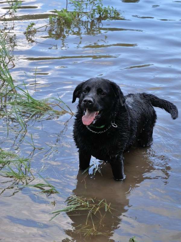 ... ����� S  �� PhotoGeek.ru #�������� ���