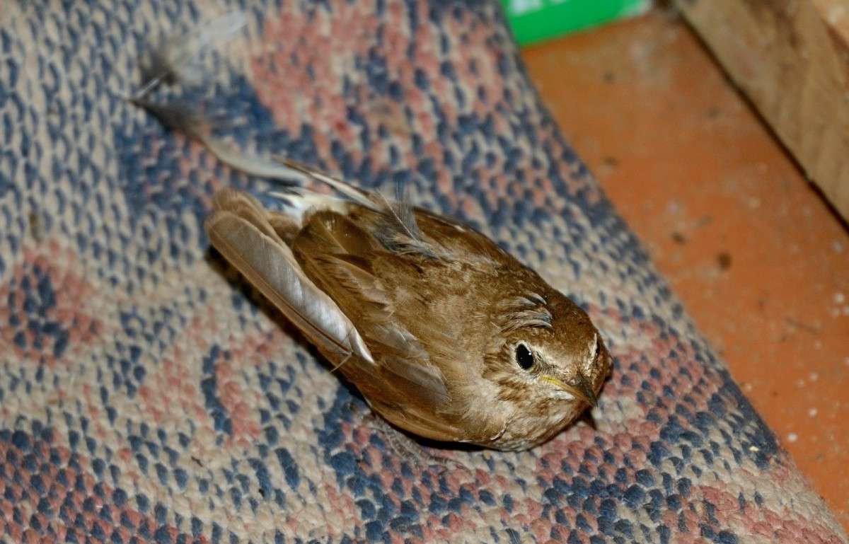 ... ����� S  �� PhotoGeek.ru #�������� ���