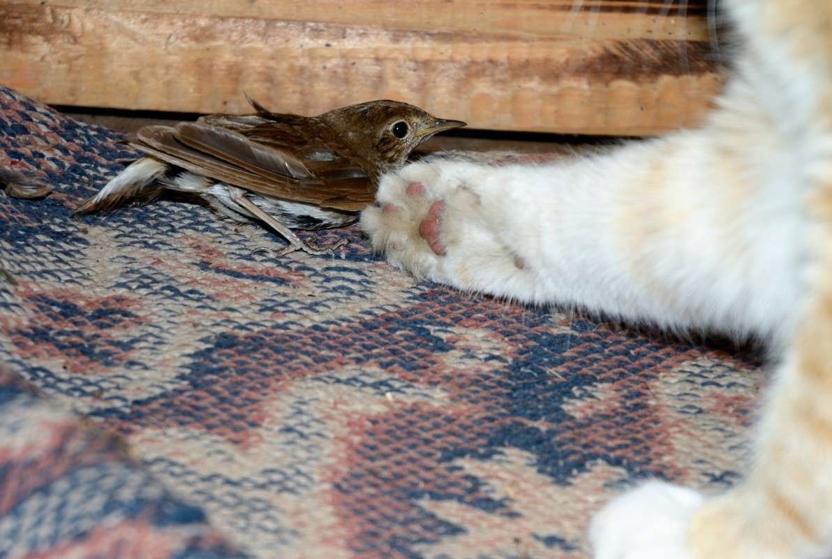 ... ����� S  �� PhotoGeek.ru #�������� ���