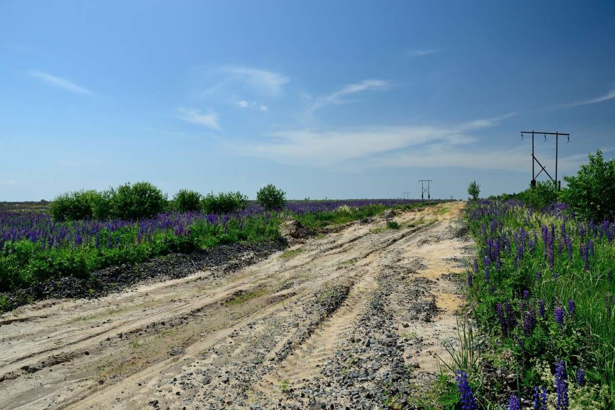 ... ����� S  �� PhotoGeek.ru #������ ��� �������