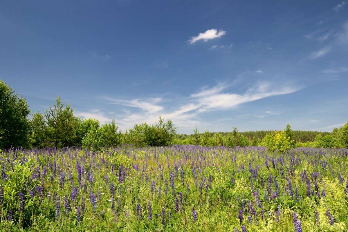 ... ����� S  �� PhotoGeek.ru #������ ��� �������