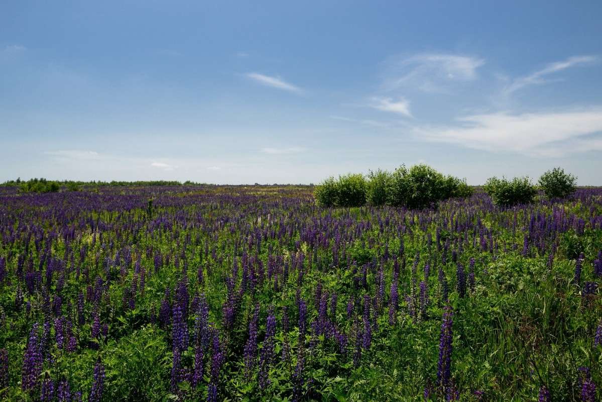 ... ����� S  �� PhotoGeek.ru #������ ��� �������