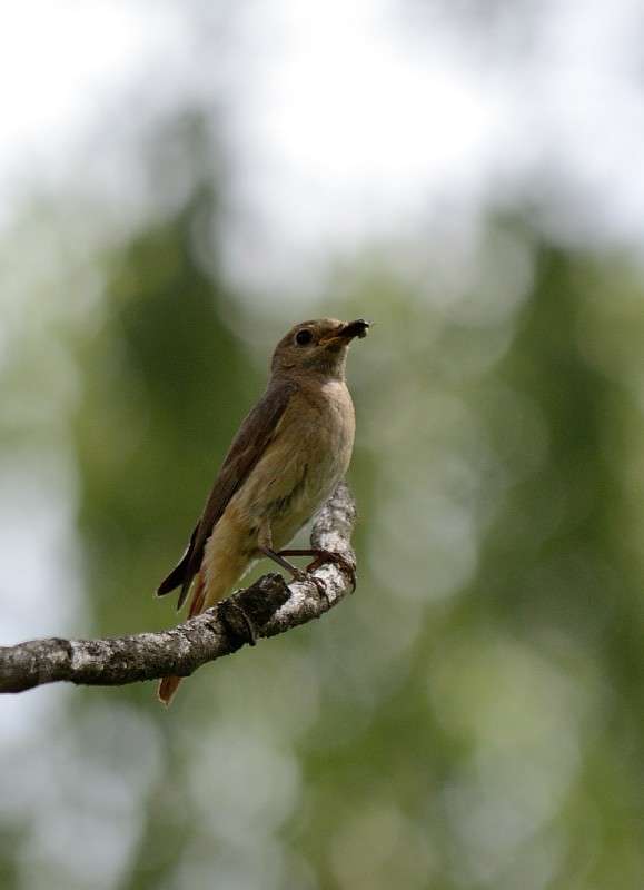 ... ����� S  �� PhotoGeek.ru #�������� ��� #����� ��� ��� ���������