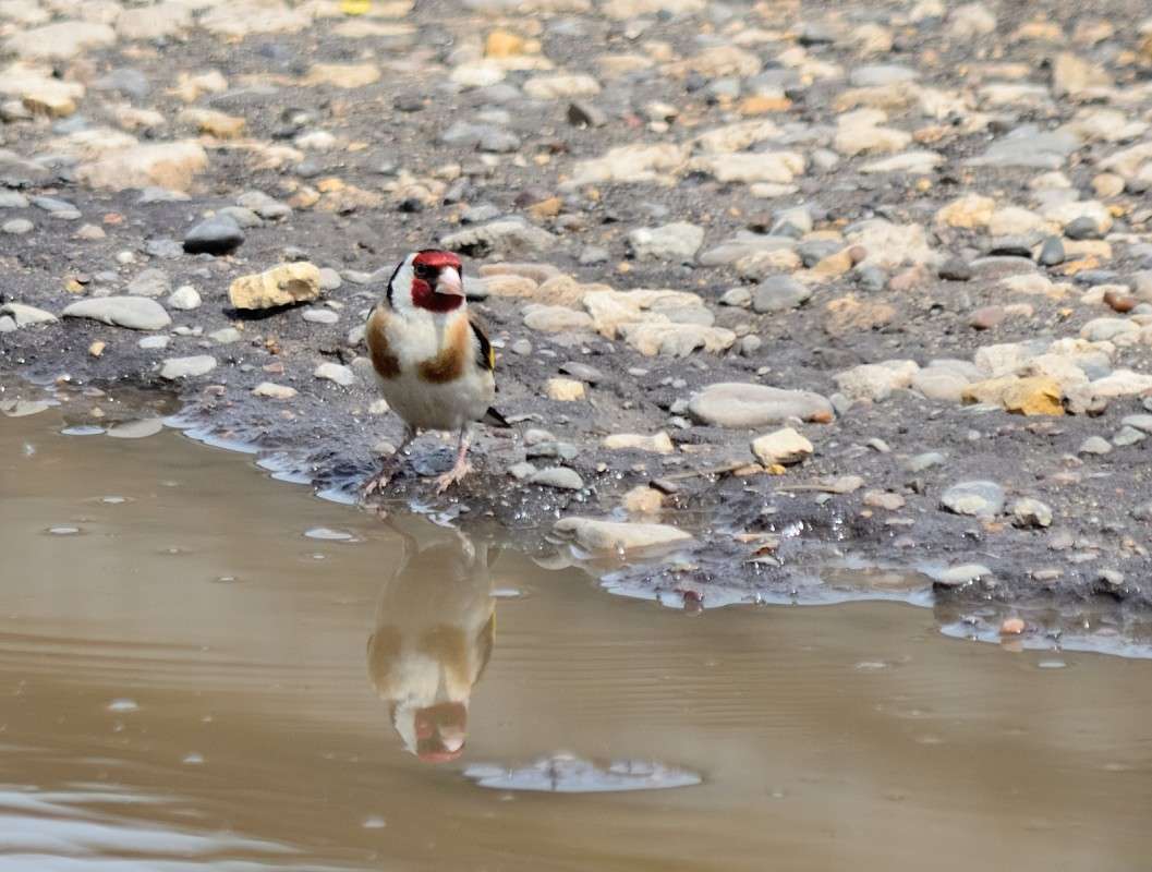 ... ����� S  �� PhotoGeek.ru #�������� ��� #����� ��� ��� ���������