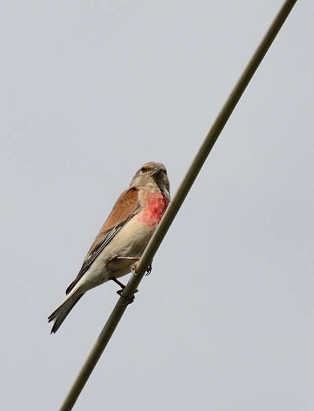 ... ����� S  �� PhotoGeek.ru #�������� ���