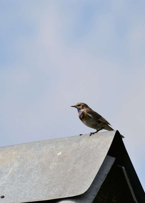 ... ����� S  �� PhotoGeek.ru #�������� ���