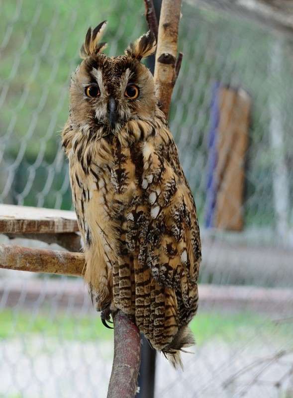 ... ����� S  �� PhotoGeek.ru #�������� ���