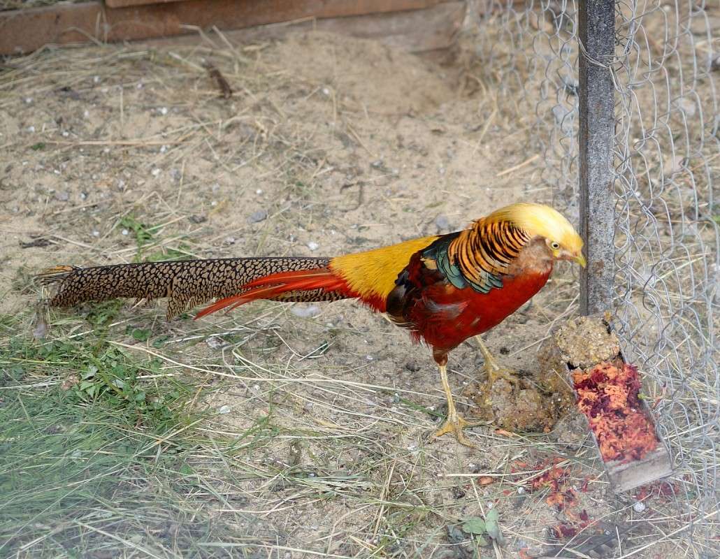 ... ����� S  �� PhotoGeek.ru #�������� ���