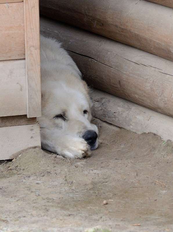 ������ ����-������ ����! ����� S  �� PhotoGeek.ru #�������� ���