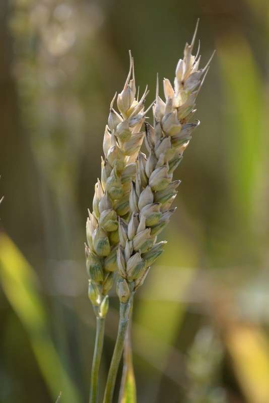 ������� ����� S  �� PhotoGeek.ru #������ ��� �������