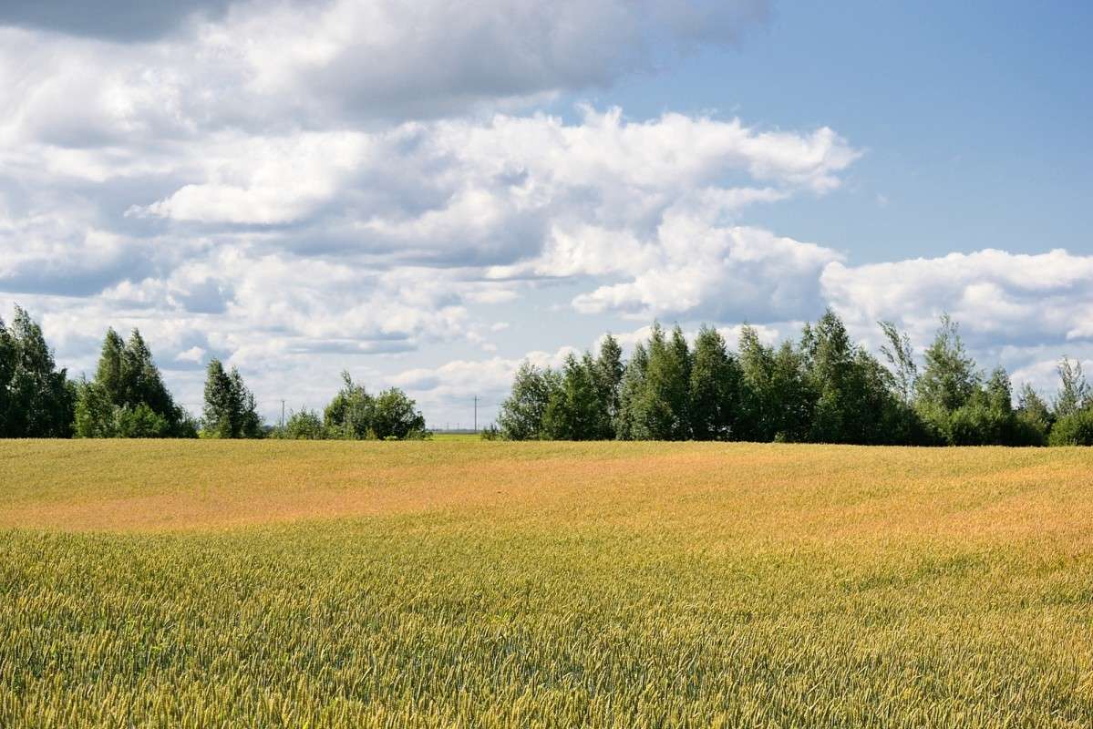 ������� ���� ����� S  �� PhotoGeek.ru #������ ��� �������