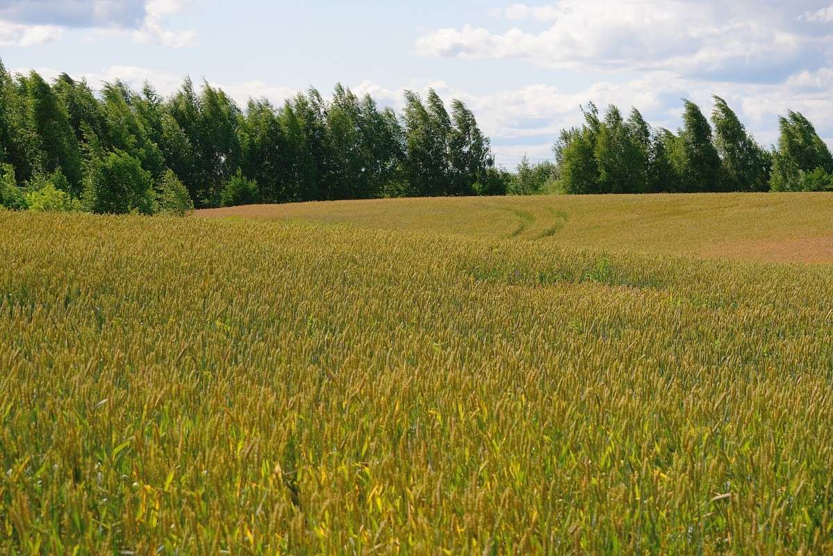 � �����.. ����� S  �� PhotoGeek.ru #������ ��� �������