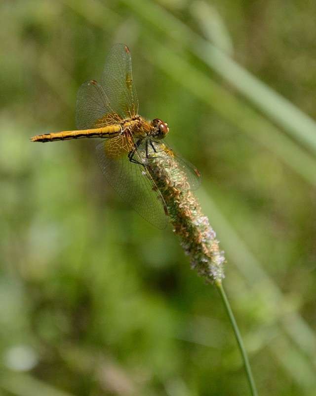 �������� ����� S  �� PhotoGeek.ru #�������� ���