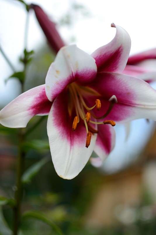 )) ����� S  �� PhotoGeek.ru #������ ��� �������