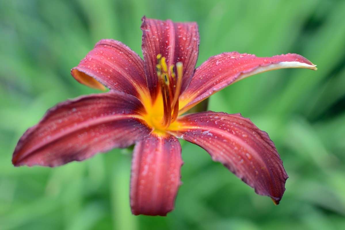 ) ����� S  �� PhotoGeek.ru #������ ��� �������