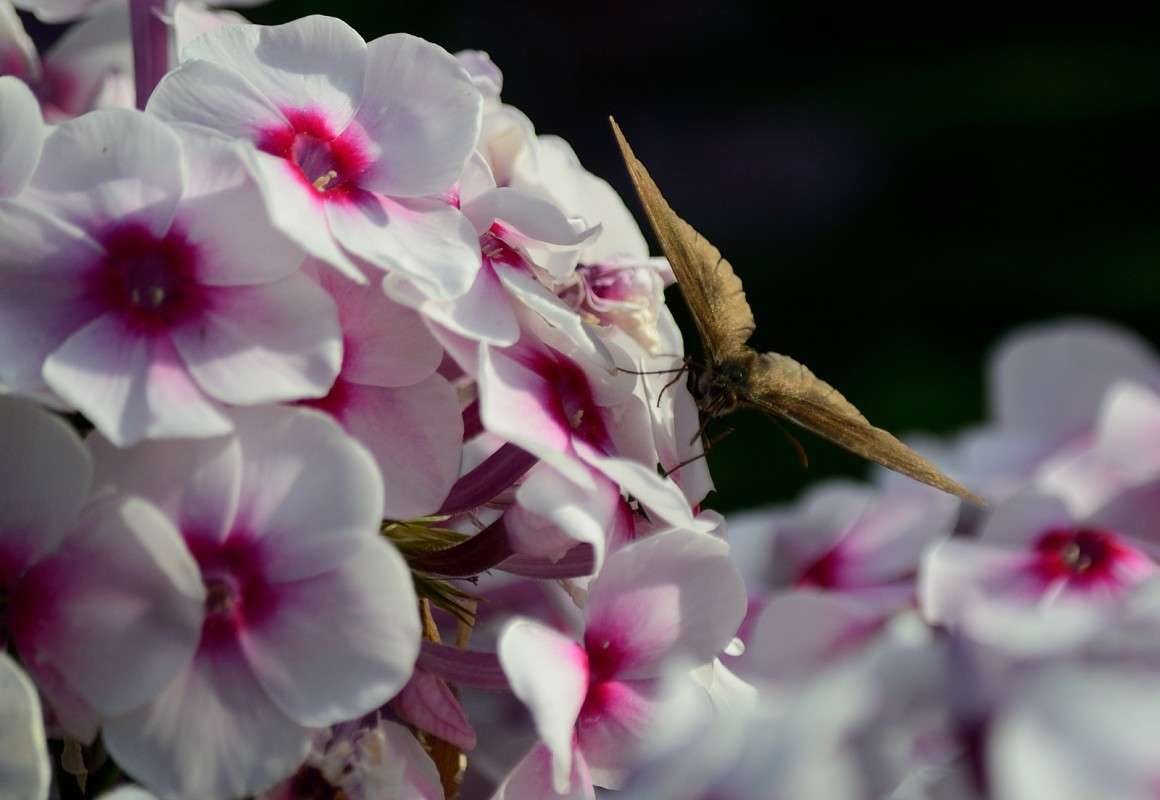 ��� ����� ����� S  �� PhotoGeek.ru #������ ��� ������� #����� ��������