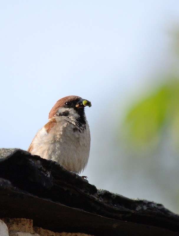 ������... ����� S  �� PhotoGeek.ru #�������� ���