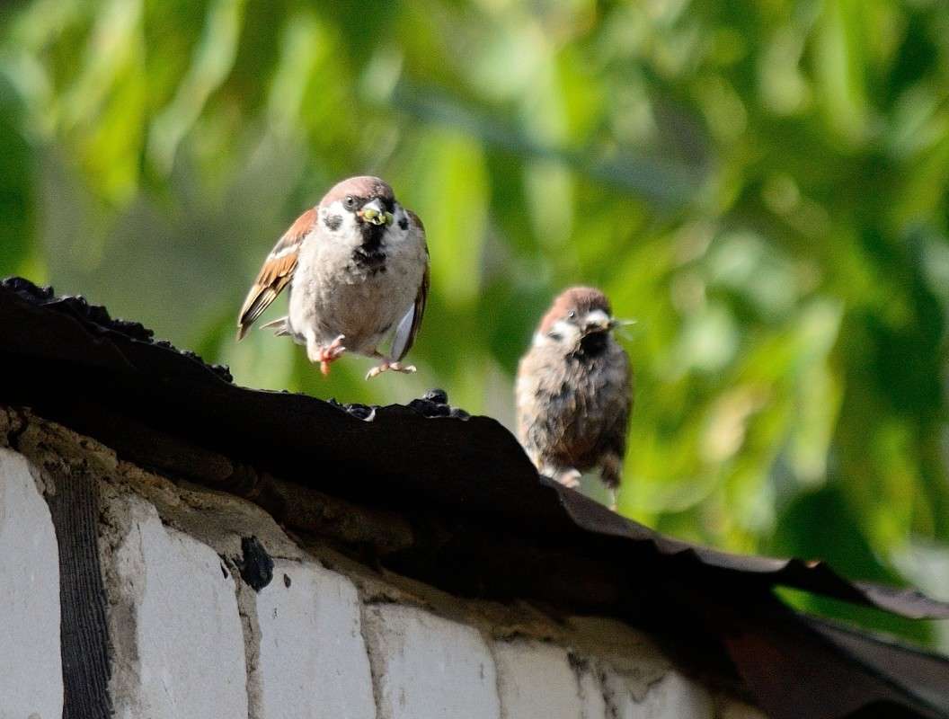 ���������������� ����������... ����� S  �� PhotoGeek.ru #�������� ���