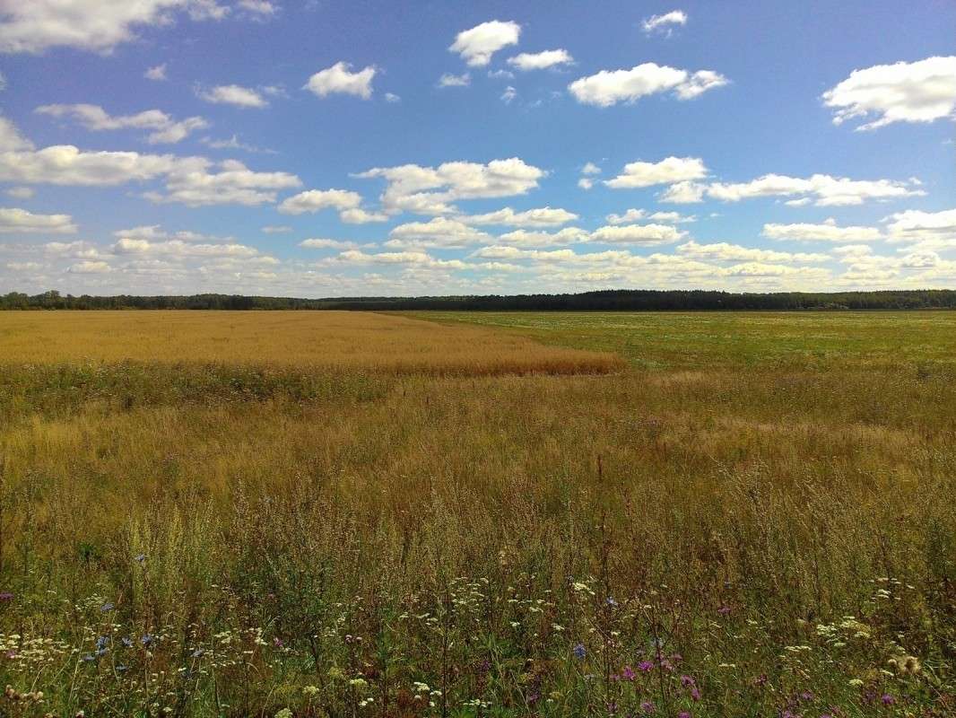 ... ����� S  �� PhotoGeek.ru #������ ��� �������