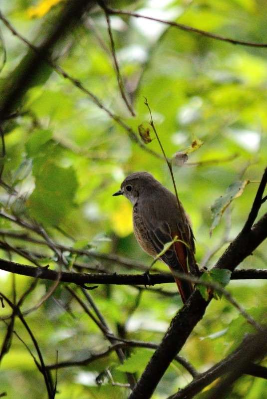 ... ����� S  �� PhotoGeek.ru #�������� ���