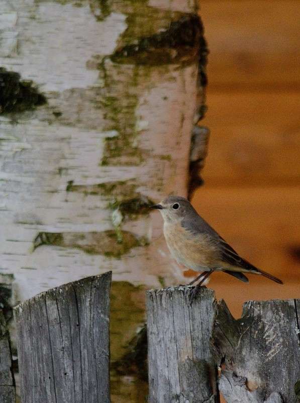 ... ����� S  �� PhotoGeek.ru #�������� ���