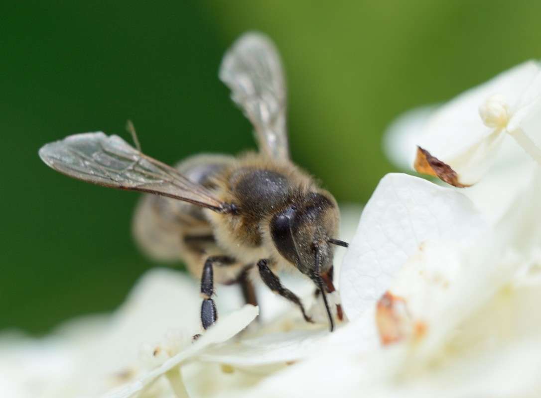 )) ����� S  �� PhotoGeek.ru #�����